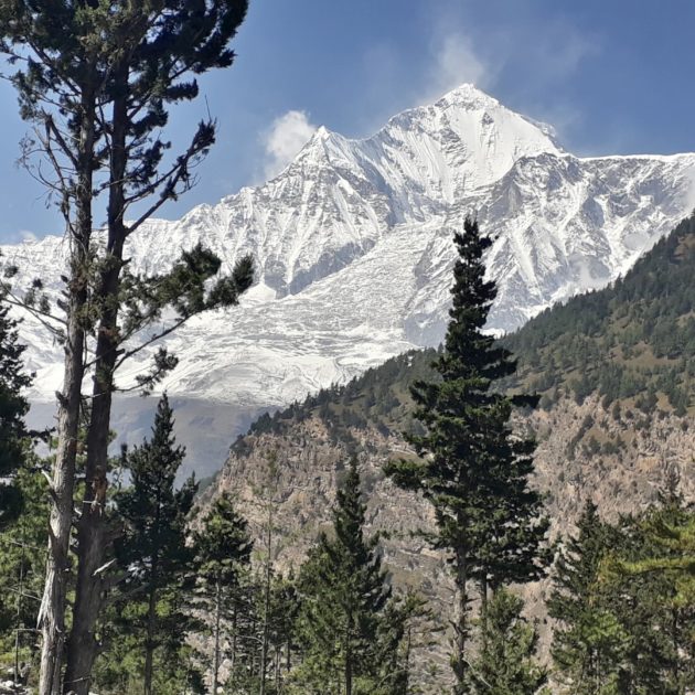 Jomsom-Muktinath-Trek-.jpg