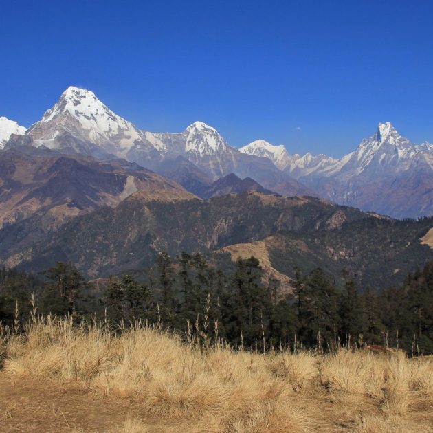Khwopra danda trek in nepal as best trekking routes in nepal
