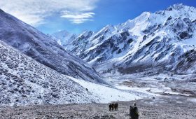 A picture displaying Langtang Valley trek in Nepal with beautiful scenerios.