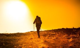 picture displaying trekking guide in Nepal